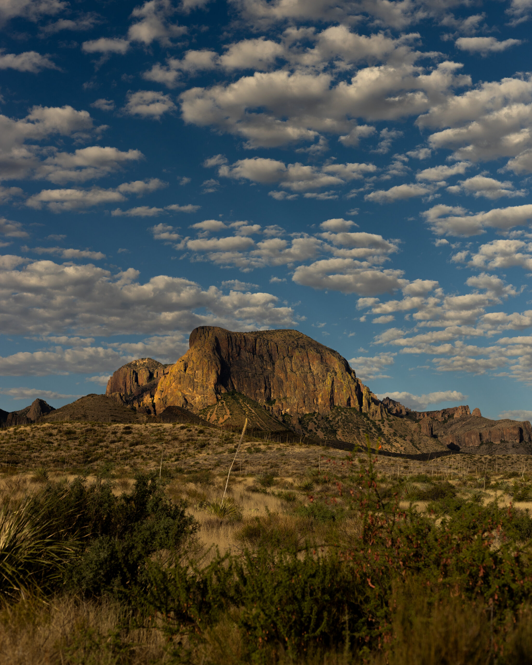 Big Bend National Park